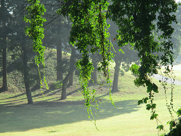 ドリームゴルフ新宿提携ゴルフ場【成田ヒルズカントリークラブ】
